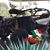 Alvaro Gutierrez's profile image