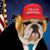 Bob Kissel Sr.'s profile image