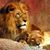 Rhonda Holey's profile image