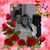 Dee Carr Hill's profile image