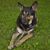 Billie Ramsey Ketterman's profile image