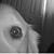 Mike McLennan's profile image
