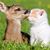 Ferne Walker's profile image