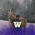 Karen White's profile image