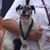 Sheila Rohner Quinn's profile image