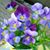 Jackie Ann Horton's profile image