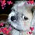 Ruben Fuentes's profile image