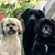 Krissy Carnahan's profile image