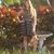 Kelsey Plaggemeyer's profile image