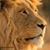 Cherylann Goodwin's profile image