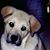 John Jackson's profile image