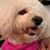 Marcie Lively's profile image