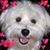 Marcia Nelsen's profile image