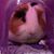 Christen Clinch Kirk's profile image