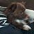 Eileen Muth's profile image