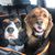 Teri Johnson Bowser's profile image