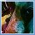 Linda Hansen Zieman's profile image