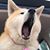 Cathy Reilly's profile image