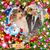 Charles Vandergriff's profile image