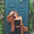 Kyla Walker's profile image