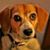 Carly Trcka Klimke's profile image