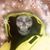 Mark Wilson's profile image