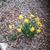 Vicki Rohde's profile image