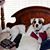Christy Rowley Ballard's profile image