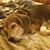 Roberta Scott-Wilson's profile image