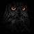 Jarl Colwell's profile image