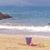 Diane Brislin Chiarella's profile image