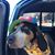 Robin Gertie's profile image