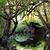 Calandra Puls's profile image