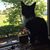 Nancy Rauschenberger Holmes's profile image