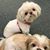 Kathy Smith's profile image