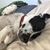 Wendy Feikert's profile image