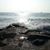 Lisa Link Hiestand's profile image