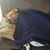 Pattie Lilla's profile image