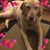 Don Williams's profile image