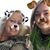 Melanie Kopke Locum's profile image