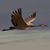 Linda M. Perry's profile image