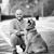 Matthew Flynn's profile image
