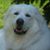 Mary L Sullivan's profile image