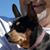 Cay Ranken Pasch's profile image