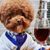 Darren Fitzpatrick's profile image