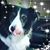 Martha Keefer Moulder's profile image