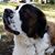 Laura Hunsinger's profile image