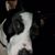 Troy Howerton's profile image