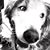 Carmen Garcia's profile image
