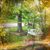 Melody Ballard Frisby's profile image
